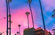 Wonder