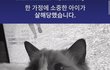 남친이 여친고양이 죽임