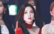 지수 제니