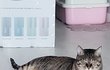오늘의 톡