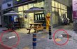 12층서 떨어진 고양이 두 마리 즉사…"던졌다" vs "아니다"