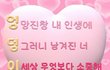 자기 자랑 하나씩 하고 가자