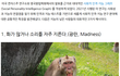 지능 낮은 사람들의 공통적인 특징