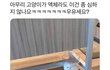 고양이 액체설은 반박불가다