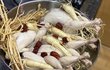 복날에는 역시 닭요리모음