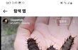 (혐짤주의)이러고 30분이상있으면 20만원 가능? 불가능?