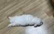 오늘의 톡