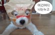 내 주변에 민지 호소인 잇음