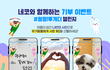 사진찍어 올리면 선물주고 유기동물한테 기부 되네요