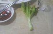 오늘의 톡