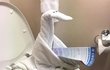수건으로 뭐든 만들 수 있지