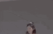 태연 요즘 살쪘네