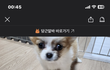 이거 ㄹㅇ 개꿀 알바 아니냐