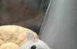 오늘의 톡