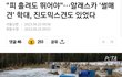 해외 입양가서 학대받는 진도믹스견들