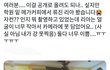 있지 류진 실물 느낌