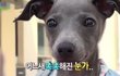 요즘 인스타에 이런거 왜캐 많냐