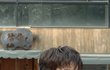 헐 마크 홍대래 지금