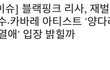 리사 기사 뭐임..??
