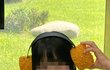 오늘의 톡