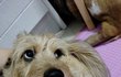 오늘의 톡