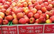 박근혜 탄핵시킨 나라의 최후