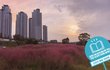 훈훈한 소식이 많은 주말입니다!