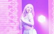 최근 아이브 리즈 폼