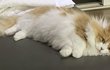 오늘의 톡