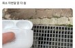 최소 이번 달 운 다 씀.twt