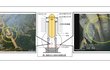 사고로 인해 TEPCO (도쿄 전력) 의 보고에 의문이 제기됩니다