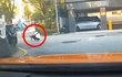 반려견 대변 치우다 택시기사에게 치인 여성 “치료비 많다고 소송당했습니다” 결국...