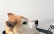 오히려 아늑하고 편안해
