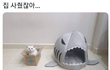 왜 이러는거야?