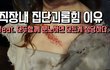 직장내 집단괴롭힘 이유. 모두함께 분노하면 모든게 정당하다.