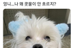 콧물이 안흘러
