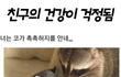 친구가 걱정돼..ㅠ