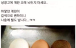 계란의 성장기