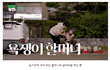 야채파는 할머니 대반전