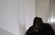 우리 고양이가 고장났어요