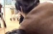 보넥도 경호 또 난리ㅋㅋ