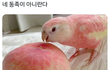 이쁘잖아