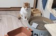 오늘의 톡