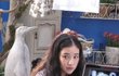 근데 지금 이선균 사건 ㅋㅋㅋㅋㅋㅋ