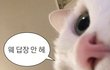 언젠가부터 새해가 싫다