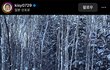 홍영기 안춥나?