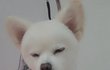 오늘의 톡