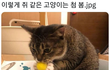 너 지금 쥐같아...
