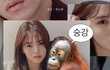 판 노잼인데 웃짤올려두댐?