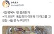 시장빵에서 젤 궁금한 거